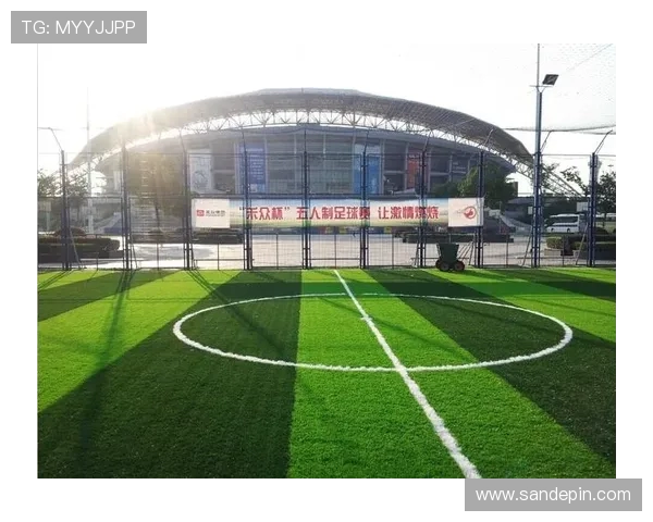 世界杯预选赛阶段各队主场的草坪养护报告